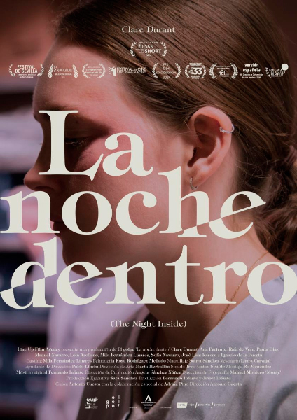 Lee más sobre el artículo La noche dentro